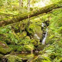Windbergschlucht