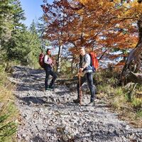 Herbststimmung im Schuss