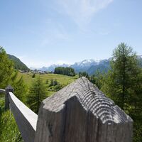 Von Guarda nach Bos-cha