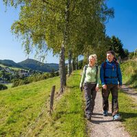 Wandern oberhalb von Westfeld