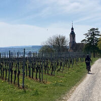 Radeln mit Blick auf die Basilika Birnau