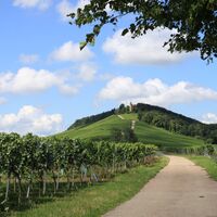 Weg zur Heuchelberger Warte in Leingarten