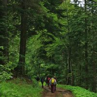 Forst Domäne Arvières