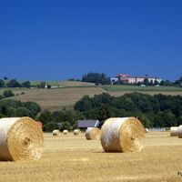 Zollfeld, Foto: Brachmaier