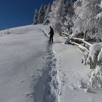 Schneeschuh-Runde am Brandkogel_Aufsteig am sommerlangen Zaun