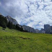 noch ein Blick oberhalb der Stuhlalm zur Bischofsmütze