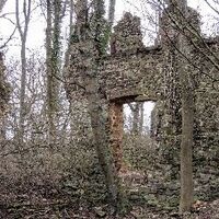 Kloster Ruine Schwazenbroich
