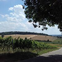 Hügellandschaft und sonnige Weinlagen in Kraichtal-Oberöwisheim