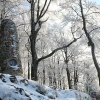 Leuchtturm der Menschlichkeit