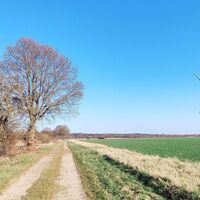 Feldweg mit Windkraftanlagen bei Haaßel