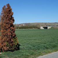 nahe der Südeinfahrt in Niederrußbach