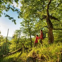 Aussichtspunkt oberhalb von Ulmet