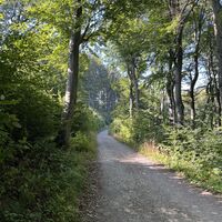 .. und angenehm eben weiter. Obacht auf Mountainbiker (beliebte Route), die sind aber alle sehr rücksichtsvoll