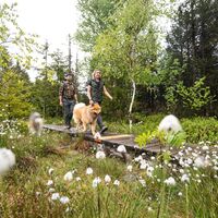 Wandern am Blindensee mit Hund