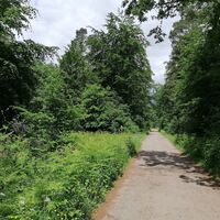 Eine kurze Strecke geht´s über den Asphalt