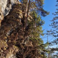 Drahtseil auf dem Weg nach oben