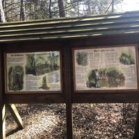 Lehrtafel Wildkatze &amp; Luchs