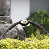 Adlerwarte Berlebeck