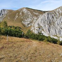 14.1 km 2. Kreuzung scharf links in den Hackentörl-Trail