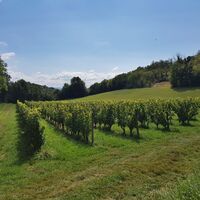 Massignieu de Belmont