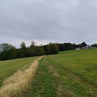 Feldweg von Dorn zum Oberfrauenwald (nicht beschildert)
