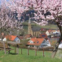 Katholische Kirche mit Mandelblüten