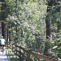 Feistritztalradweg_Oststeiermark