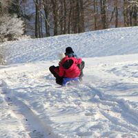 Schlittenpartie auf dem Von der Leyen Weg