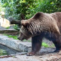 Tier- und Kulturpark Bischofswerda