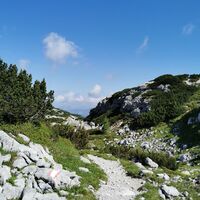 Bergwanderweg nach Hallstatt
