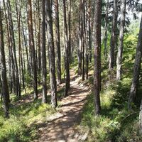 Wanderung zur Hohen Bank