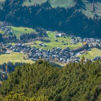 Ausblick Gratlspitze Latschen Trailrunning