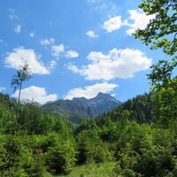 Frauenstein - Klaus - Steyerling - Brunnental - Ringsattel - Almtaler Haus - Gr. Ödsee - Hintere Hetzau