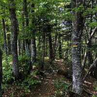 Single auf den Graten von Sur Lyand