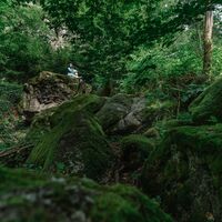 Pesenbachtal