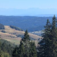 Bernau im Schwarzwald Zu den Glanzpunkten über dem Hochtal (4)
