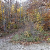 Wanderwegkreuzung Karlsruh