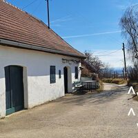 Kellergasse Weinkeller/Steinagrund