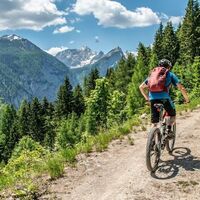 Bergauf auf Forststraßen mit herrlichen Ausblicken