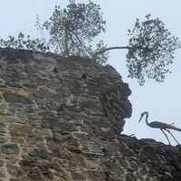 Mauerrest