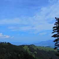 Planken - Feldkirch