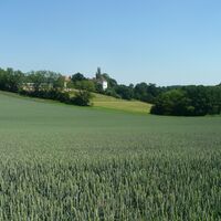 Weizenfeld vor Schloß Welsdorf bei Fürstenfeld