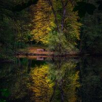 Herbstliches vom Pfannwaldsee