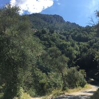 Piste de la Forêt - Castagniers