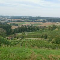 Blick von Khünegg in die Region