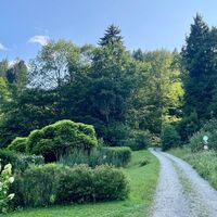 Duftkreuztrail Kleinkohlergraben