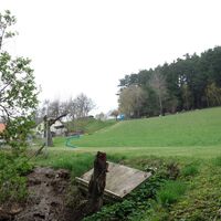 über die Wiese hoch