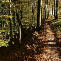Hellbergpfad