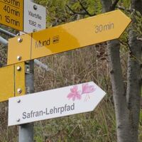 Safranlehrpfad