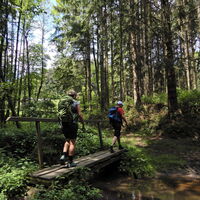 Thernberg - Kaltenberg (Maria Schnee) - Lichtenegg - Stickelberg - Wiesmath